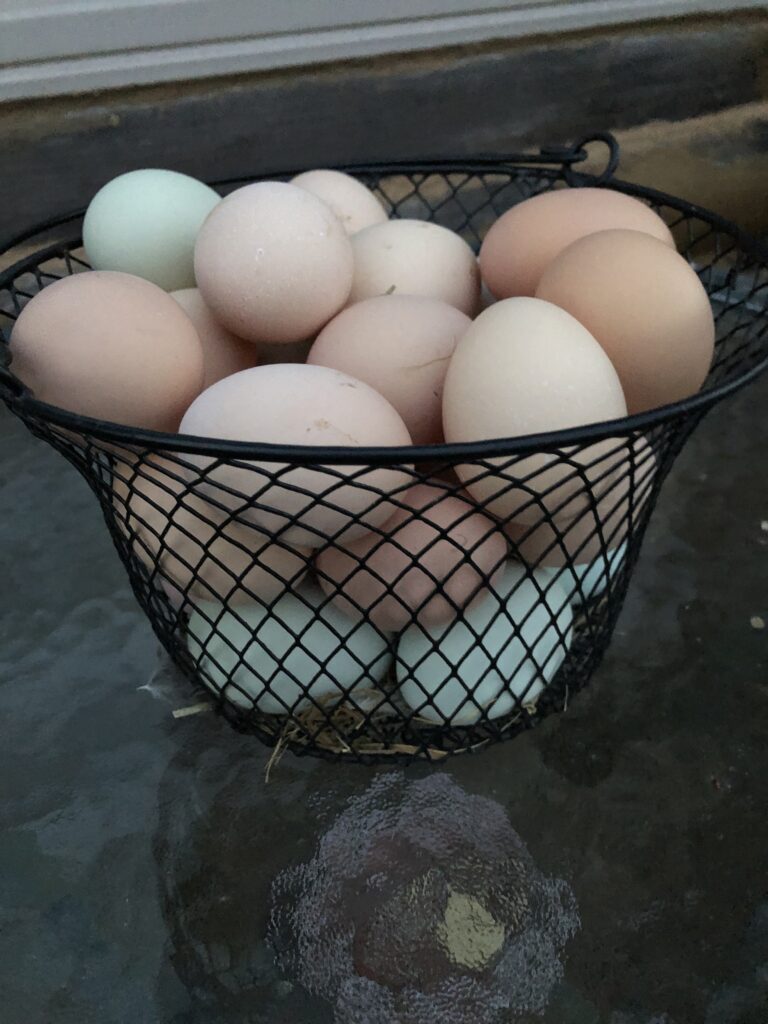 All natural colored eggs in a basket